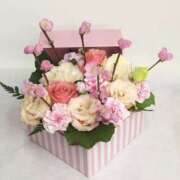 ヒメ日記 2026/03/03 02:40 投稿 佐伯 梓(さえきあずさ) 五十路マダムエクスプレス厚木店(カサブランカグループ)