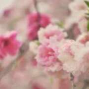 ヒメ日記 2026/03/05 21:58 投稿 佐伯 梓(さえきあずさ) 五十路マダムエクスプレス厚木店(カサブランカグループ)