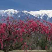 ヒメ日記 2026/03/06 07:04 投稿 佐伯 梓(さえきあずさ) 五十路マダムエクスプレス厚木店(カサブランカグループ)