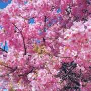 ヒメ日記 2026/03/09 17:50 投稿 佐伯 梓(さえきあずさ) 五十路マダムエクスプレス厚木店(カサブランカグループ)