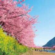 ヒメ日記 2026/03/10 21:12 投稿 佐伯 梓(さえきあずさ) 五十路マダムエクスプレス厚木店(カサブランカグループ)