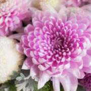 ヒメ日記 2026/03/17 21:48 投稿 佐伯 梓(さえきあずさ) 五十路マダムエクスプレス厚木店(カサブランカグループ)