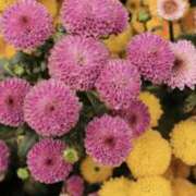 ヒメ日記 2026/03/19 20:20 投稿 佐伯 梓(さえきあずさ) 五十路マダムエクスプレス厚木店(カサブランカグループ)