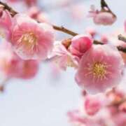 ヒメ日記 2026/03/23 01:24 投稿 佐伯 梓(さえきあずさ) 五十路マダムエクスプレス厚木店(カサブランカグループ)