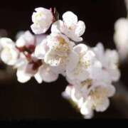 ヒメ日記 2026/03/26 15:12 投稿 佐伯 梓(さえきあずさ) 五十路マダムエクスプレス厚木店(カサブランカグループ)