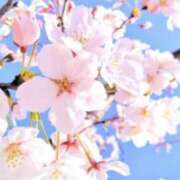 ヒメ日記 2026/03/30 22:28 投稿 佐伯 梓(さえきあずさ) 五十路マダムエクスプレス厚木店(カサブランカグループ)