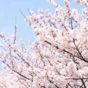 ヒメ日記 2026/03/31 01:34 投稿 佐伯 梓(さえきあずさ) 五十路マダムエクスプレス厚木店(カサブランカグループ)