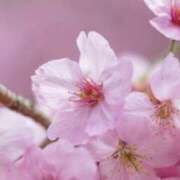 ヒメ日記 2026/03/31 19:36 投稿 佐伯 梓(さえきあずさ) 五十路マダムエクスプレス厚木店(カサブランカグループ)