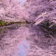 ヒメ日記 2026/04/01 19:44 投稿 佐伯 梓(さえきあずさ) 五十路マダムエクスプレス厚木店(カサブランカグループ)