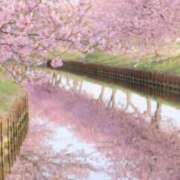 ヒメ日記 2026/04/02 07:04 投稿 佐伯 梓(さえきあずさ) 五十路マダムエクスプレス厚木店(カサブランカグループ)