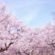 ヒメ日記 2026/04/05 19:14 投稿 佐伯 梓(さえきあずさ) 五十路マダムエクスプレス厚木店(カサブランカグループ)