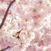 ヒメ日記 2026/04/06 06:20 投稿 佐伯 梓(さえきあずさ) 五十路マダムエクスプレス厚木店(カサブランカグループ)