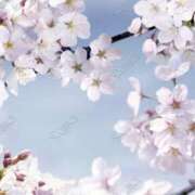 ヒメ日記 2026/04/07 19:36 投稿 佐伯 梓(さえきあずさ) 五十路マダムエクスプレス厚木店(カサブランカグループ)