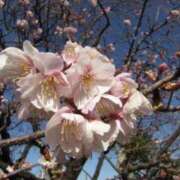 ヒメ日記 2026/04/10 21:08 投稿 佐伯 梓(さえきあずさ) 五十路マダムエクスプレス厚木店(カサブランカグループ)