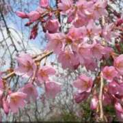 佐伯 梓(さえきあずさ) ご予約ありがとう 五十路マダムエクスプレス厚木店(カサブランカグループ)