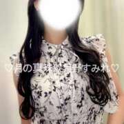 ヒメ日記 2025/07/29 07:42 投稿 月野すみれ 月の真珠-新宿-