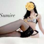 ヒメ日記 2025/09/05 10:51 投稿 月野すみれ 月の真珠-新宿-