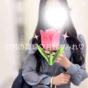 ヒメ日記 2025/11/10 07:58 投稿 月野すみれ 月の真珠-新宿-