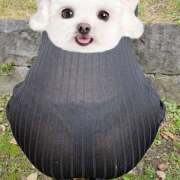 ヒメ日記 2025/07/28 11:17 投稿 ひめか モアグループ川越人妻花壇