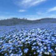 ヒメ日記 2025/06/28 11:29 投稿 しろうさ サティアンまーと