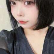 ヒメ日記 2025/07/03 09:09 投稿 しろうさ サティアンまーと