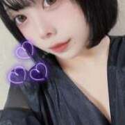 ヒメ日記 2025/07/03 10:49 投稿 しろうさ サティアンまーと