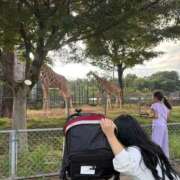 ヒメ日記 2025/10/13 21:19 投稿 しろうさ サティアンまーと