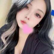 ヒメ日記 2025/11/11 12:19 投稿 しろうさ サティアンまーと