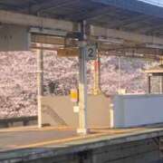 ヒメ日記 2025/04/24 14:02 投稿 みつき Ace(エース)