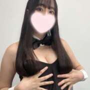 ヒメ日記 2025/04/08 16:14 投稿 きょうこ ホワイトハウス