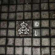 ヒメ日記 2025/04/07 09:27 投稿 社悠華 五十路マダム 沼津店(カサブランカグループ)