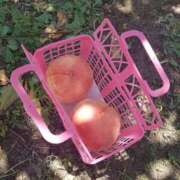 ヒメ日記 2025/05/04 20:47 投稿 社悠華 五十路マダム 沼津店(カサブランカグループ)