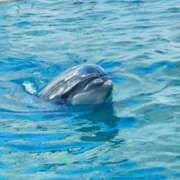 ヒメ日記 2026/02/28 22:09 投稿 社悠華 五十路マダム 沼津店(カサブランカグループ)