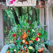 ヒメ日記 2026/03/02 00:27 投稿 社悠華 五十路マダム 沼津店(カサブランカグループ)