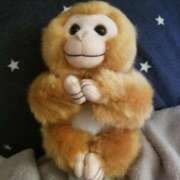 ヒメ日記 2026/03/29 10:41 投稿 社悠華 五十路マダム 沼津店(カサブランカグループ)