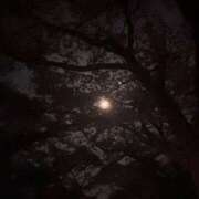 ヒメ日記 2026/03/30 00:23 投稿 社悠華 五十路マダム 沼津店(カサブランカグループ)