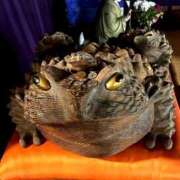 ヒメ日記 2026/03/30 21:57 投稿 社悠華 五十路マダム 沼津店(カサブランカグループ)