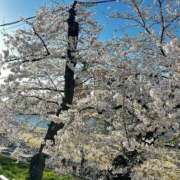 ヒメ日記 2025/04/06 16:46 投稿 高橋のどか ウルトラブレイズ