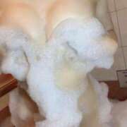 ヒメ日記 2025/05/19 21:26 投稿 高橋のどか ウルトラブレイズ