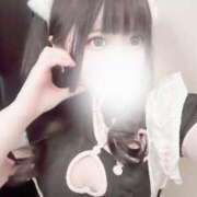 ヒメ日記 2025/04/20 06:58 投稿 シシャモ　柳葉魚 女の子市場