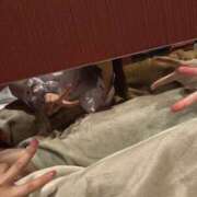 ヒメ日記 2025/07/23 17:46 投稿 もも お姉さんSelect