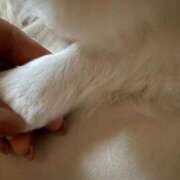 ヒメ日記 2025/08/09 13:53 投稿 もも お姉さんSelect