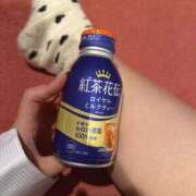 ヒメ日記 2025/12/09 23:06 投稿 もも お姉さんSelect