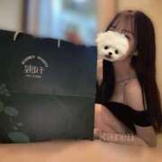 ヒメ日記 2025/09/04 16:50 投稿 カレン 恵比寿ニューヨーク