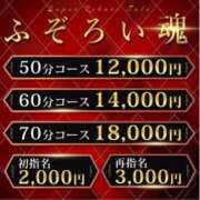ヒメ日記 2025/04/24 15:50 投稿 こはる ふぞろいの人妻たち