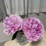 こはる ご無沙汰しております(？>？<？) ふぞろいの人妻たち