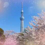 ヒメ日記 2025/04/15 19:34 投稿 なぎさ モアグループ春日部人妻城