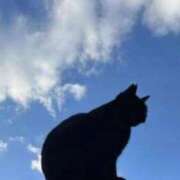 ヒメ日記 2025/04/29 20:33 投稿 なぎさ モアグループ春日部人妻城