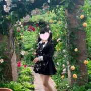 ヒメ日記 2025/04/11 20:34 投稿 みおん 派遣型JKリフレ ぷるぷる錦糸町