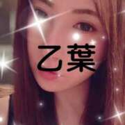 ヒメ日記 2025/04/16 11:44 投稿 乙葉 桃李（とうり）